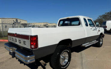 Dodge-Other-Pickups-Pickup-1992-White-Red-249287-8