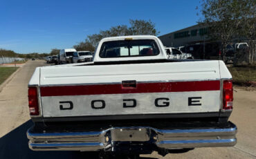 Dodge-Other-Pickups-Pickup-1992-White-Red-249287-9