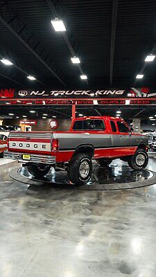 Dodge-Other-Pickups-Pickup-1993-Red-Gray-225916-15