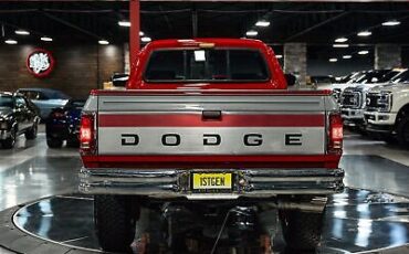 Dodge-Other-Pickups-Pickup-1993-Red-Gray-225916-20