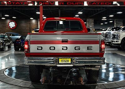 Dodge-Other-Pickups-Pickup-1993-Red-Gray-225916-20