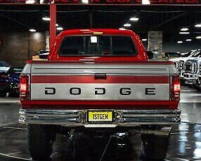 Dodge-Other-Pickups-Pickup-1993-Red-Gray-225916-21