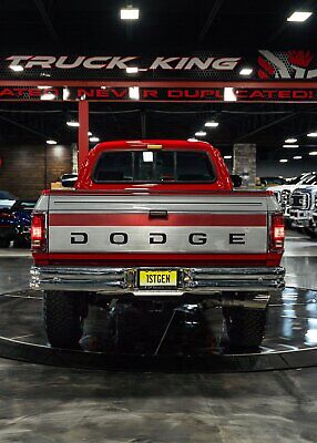 Dodge-Other-Pickups-Pickup-1993-Red-Gray-225916-21