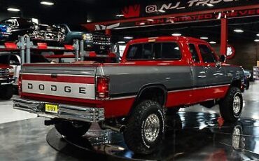 Dodge-Other-Pickups-Pickup-1993-Red-Gray-225916-23