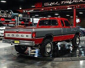 Dodge-Other-Pickups-Pickup-1993-Red-Gray-225916-25