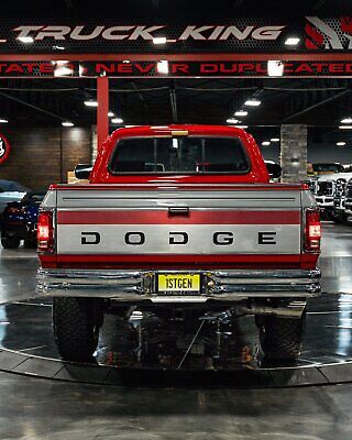 Dodge-Other-Pickups-Pickup-1993-Red-Gray-225916-26