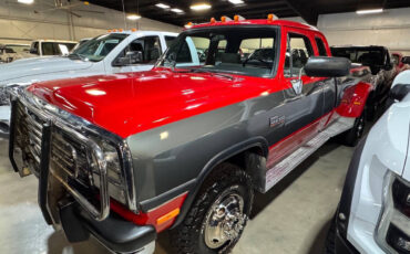 Dodge-Other-Pickups-Pickup-1993-Red-Gray-227561-3