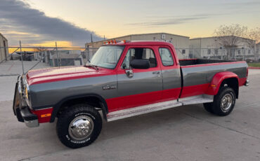 Dodge-Other-Pickups-Pickup-1993-Red-Gray-227561-6