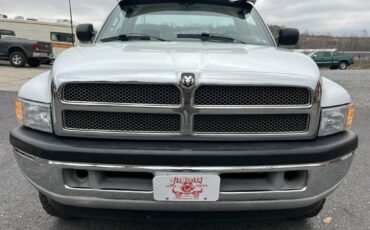 Dodge-Ram-1500-1995-white-176594-12