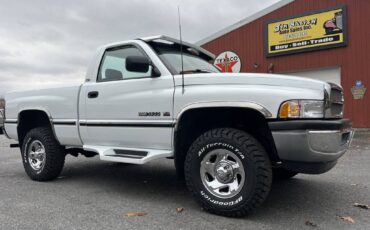 Dodge-Ram-1500-1995-white-176594