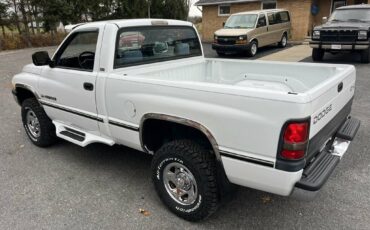 Dodge-Ram-1500-1995-white-176594-8