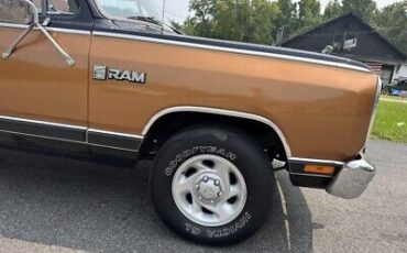 Dodge-Ram-1500-Pickup-1986-Gold-142512-10