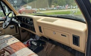 Dodge-Ram-1500-Pickup-1986-Gold-142512-19