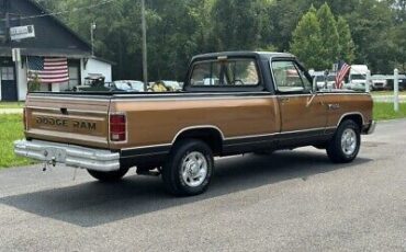 Dodge-Ram-1500-Pickup-1986-Gold-142512-4