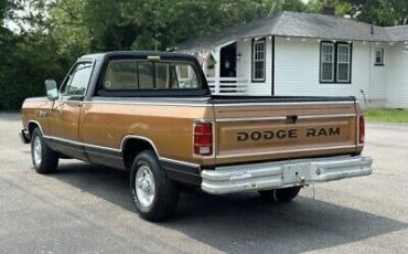 Dodge-Ram-1500-Pickup-1986-Gold-142512-6