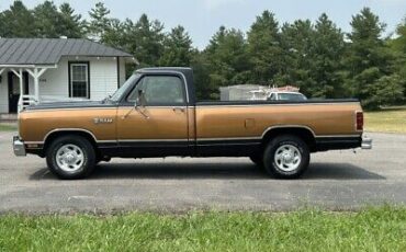 Dodge-Ram-1500-Pickup-1986-Gold-142512-7