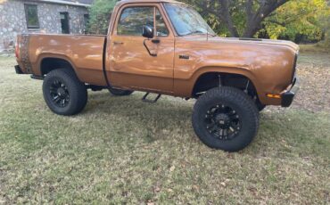 Dodge-Ram-1500-lp-1978-brown-136794-1