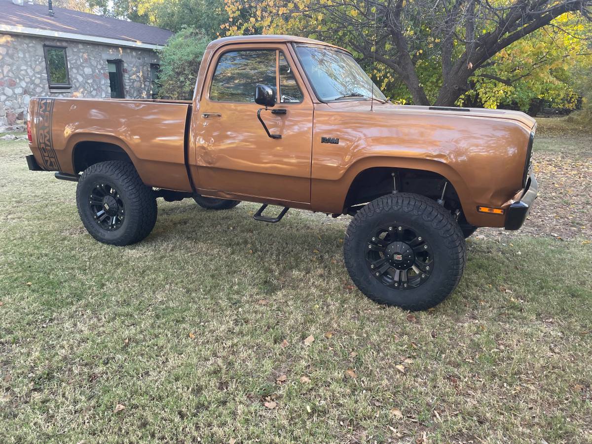 Dodge-Ram-1500-lp-1978-brown-136794-1