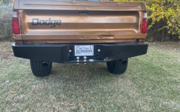 Dodge-Ram-1500-lp-1978-brown-136794-3