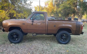 Dodge-Ram-1500-lp-1978-brown-136794