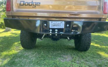 Dodge-Ram-1500-lp-1978-brown-136794-6