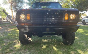 Dodge-Ram-1500-lp-1978-brown-136794-7