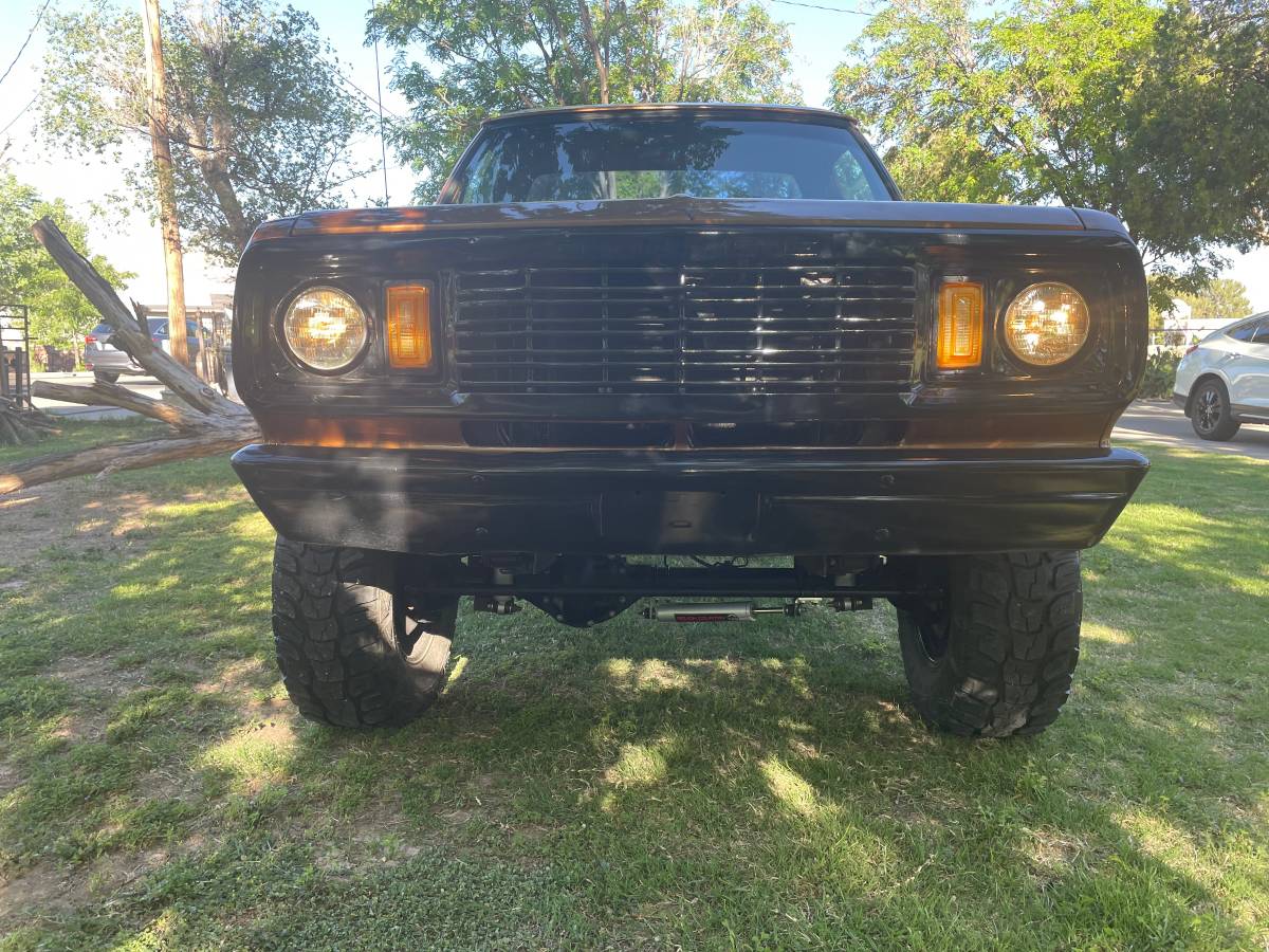 Dodge-Ram-1500-lp-1978-brown-136794-7