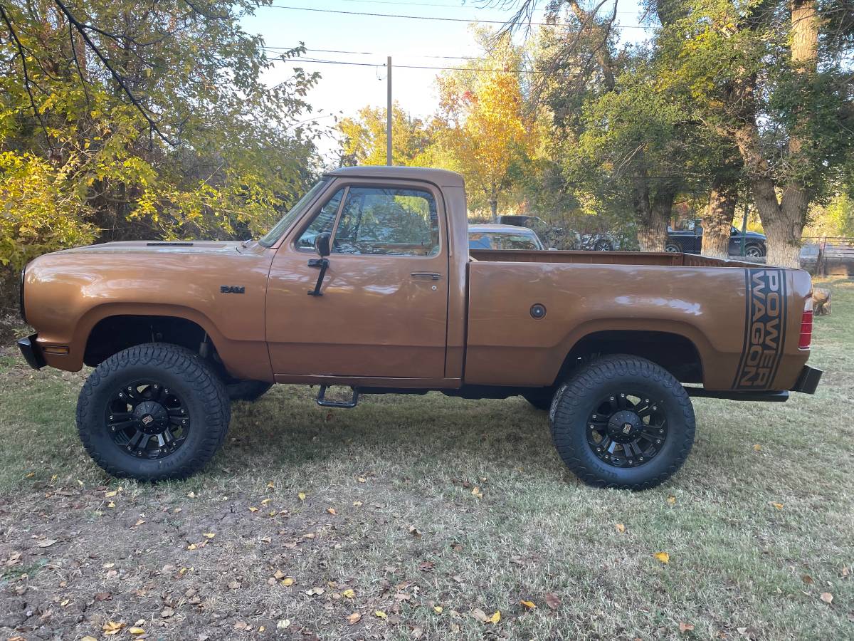 Dodge-Ram-1500-lp-1978-brown-136794