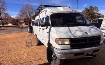 Dodge-Ram-3500-1994-white-216501-14