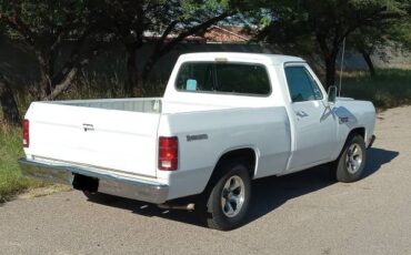 Dodge-Ram-d150-1982-115872-4