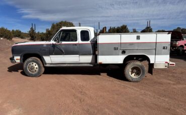 Dodge-Ram-d350-diesel-1993-custom-349225-1