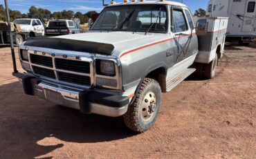 Dodge-Ram-d350-diesel-1993-custom-349225