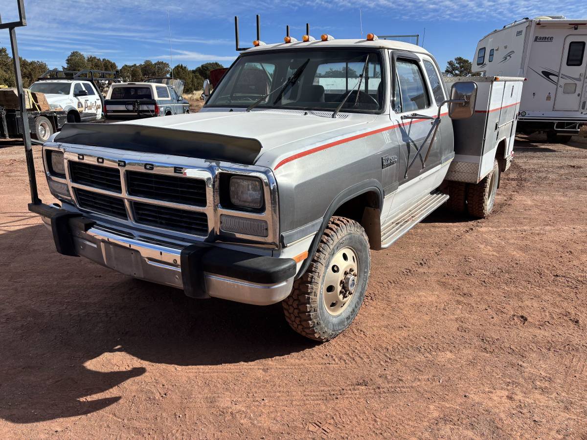 Dodge-Ram-d350-diesel-1993-custom-349225