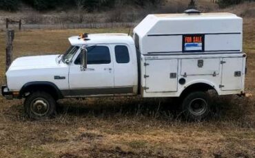 Dodge-Ram-diesel-1993-white-547176-1