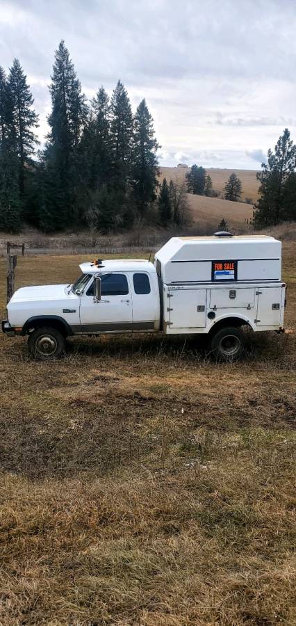 Dodge-Ram-diesel-1993-white-547176-1