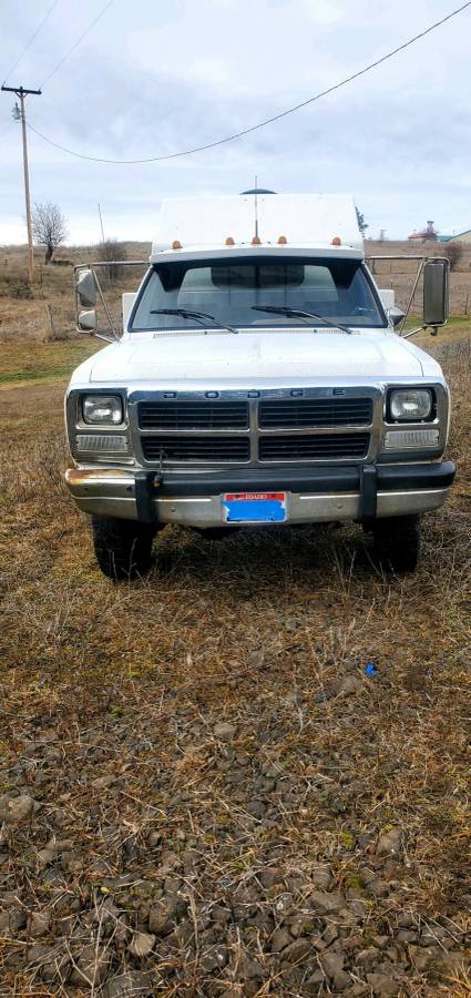 Dodge-Ram-diesel-1993-white-547176-3