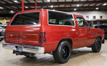 Dodge-Ramcharger-1992-Dark-Copper-Metallic-Tan-195020-7