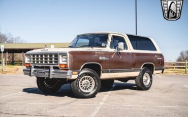 Dodge-Ramcharger-Cabriolet-1983-Brown-Brown-120664-2