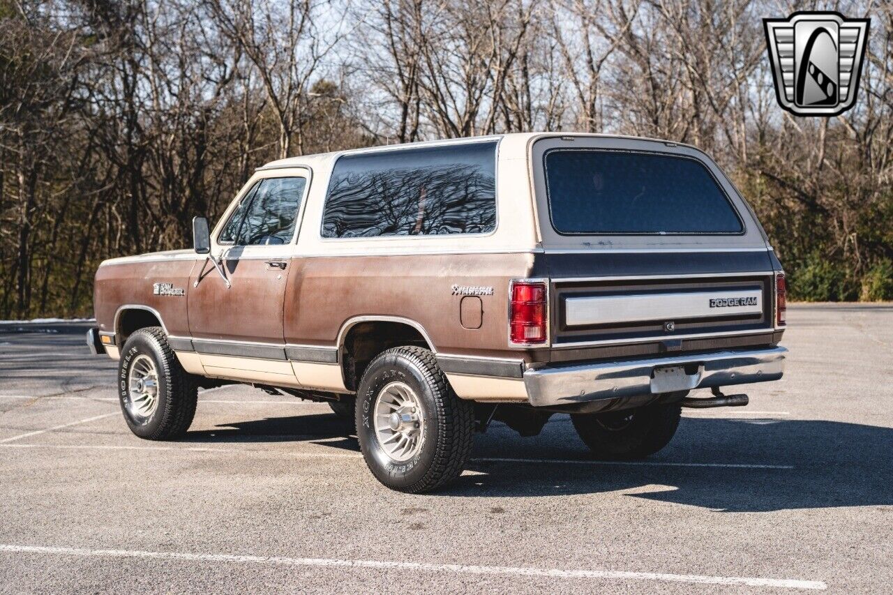 Dodge-Ramcharger-Cabriolet-1983-Brown-Brown-120664-4