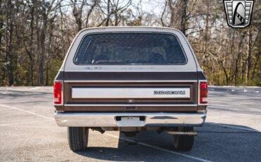 Dodge-Ramcharger-Cabriolet-1983-Brown-Brown-120664-5