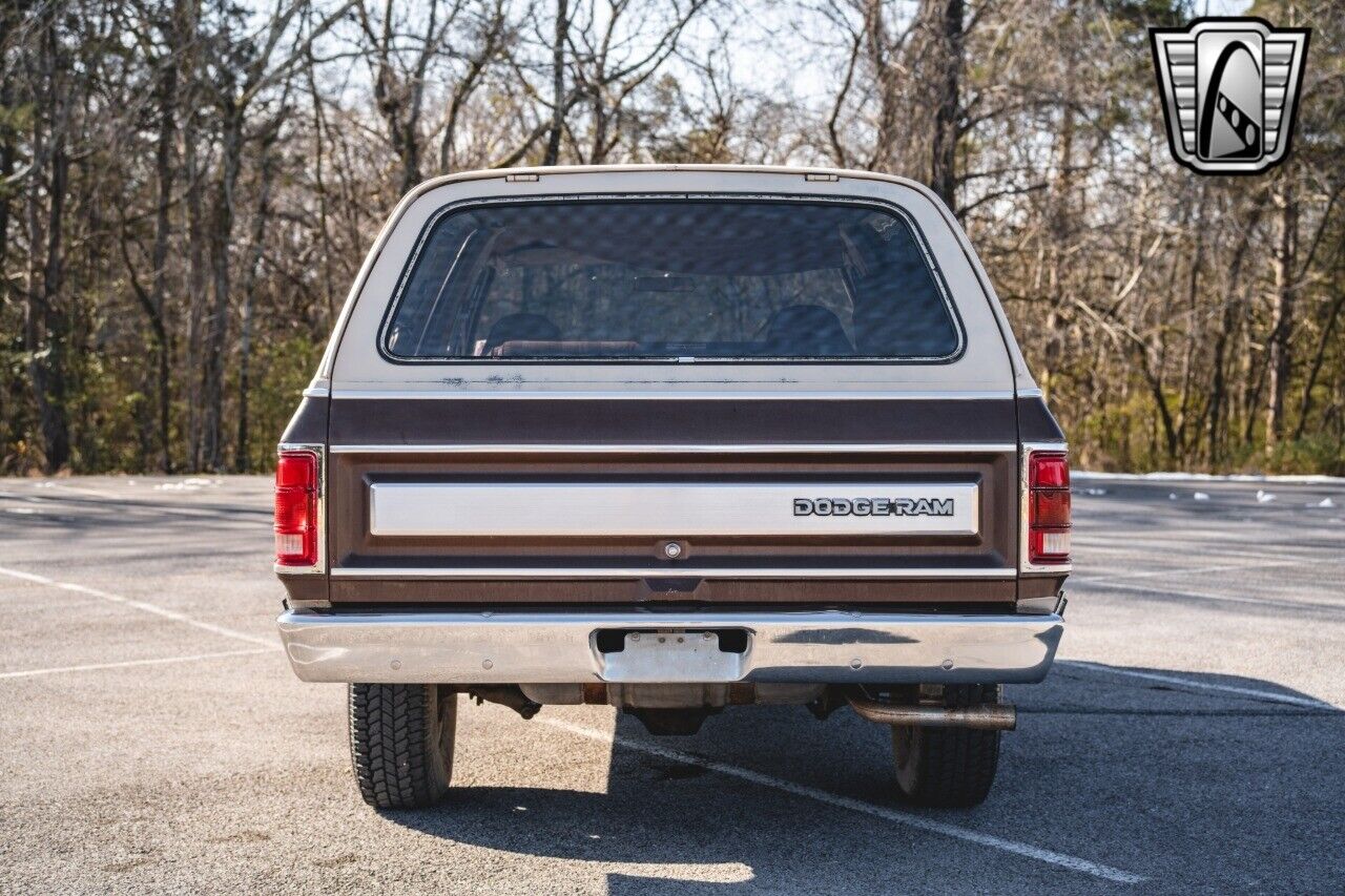 Dodge-Ramcharger-Cabriolet-1983-Brown-Brown-120664-5