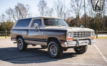 Dodge-Ramcharger-Cabriolet-1983-Brown-Brown-120664-8