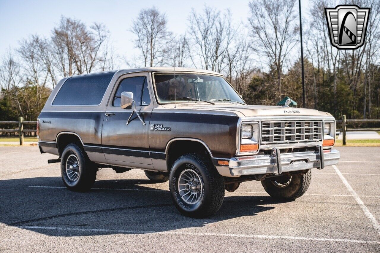 Dodge-Ramcharger-Cabriolet-1983-Brown-Brown-120664-8