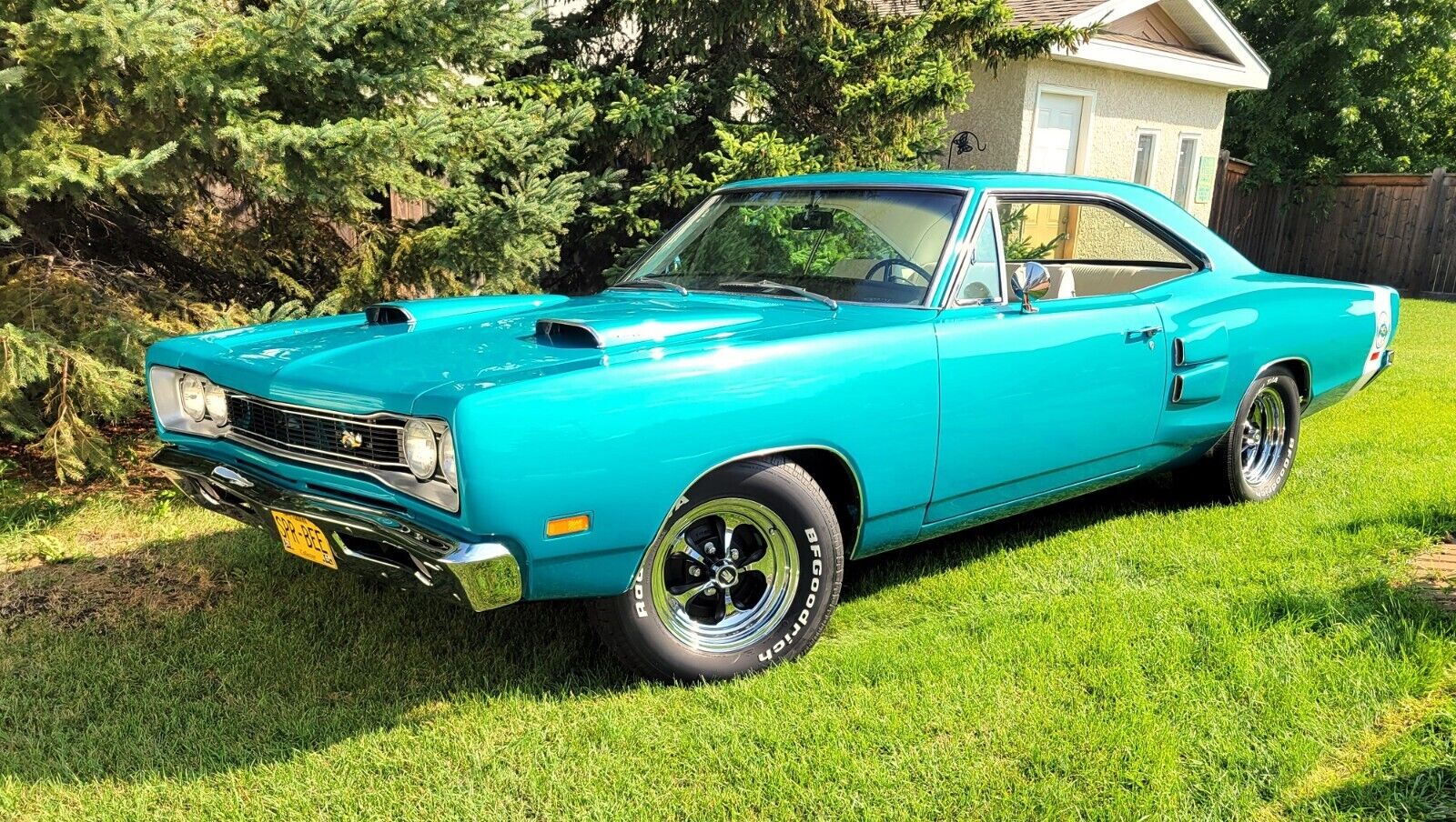 Dodge-SUPER-BEE-Coupe-1969-BRITE-TURQUOISE-METALIC-White-7641-8