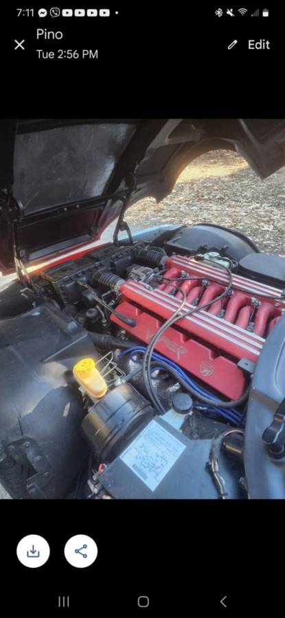 Dodge-Viper-1994-red-83032-14