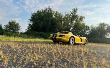 Dodge-Viper-Cabriolet-1995-Yellow-Tan-32187-9