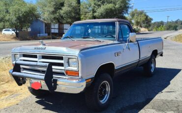 Dodge-W250-4x4-1986-grey-197949-2