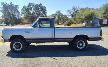 Dodge-W250-4x4-1986-grey-197949