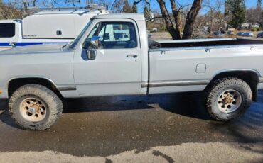 Dodge-W250-4x4-diesel-1990-grey-193121-2