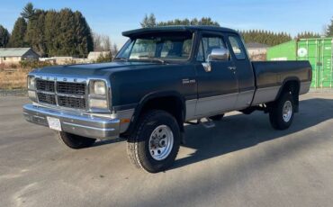 Dodge-W250-diesel-1993-green-529473